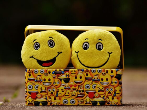 Happy smiley face plush toys in box.